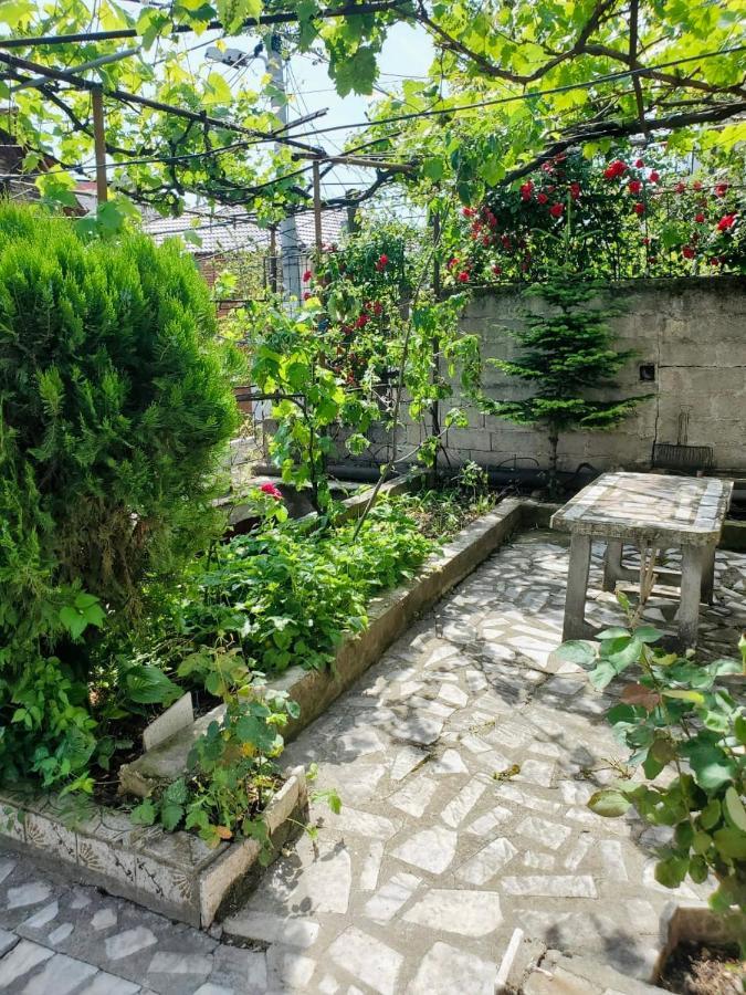 Lake Ohrid Guesthouse "Villa Valentina" Pogradec Ngoại thất bức ảnh